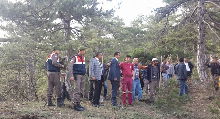 ÇORUM’DA 5 HEKTARLIK ORMANLIK ALAN YANDI