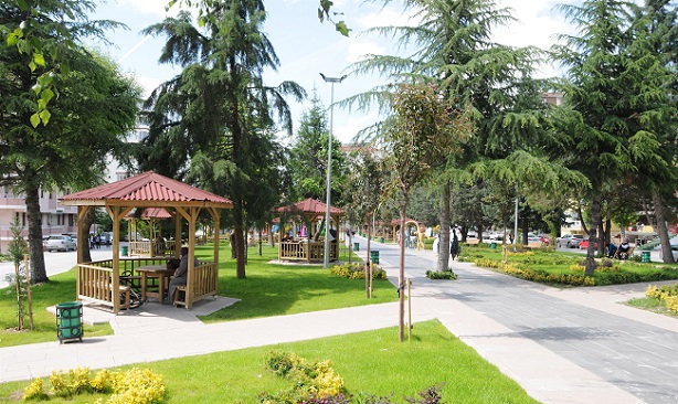 PARKIN SON HALİ BEĞENİLDİ