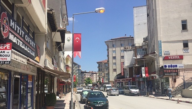 SOKAK LAMBALARI NEDEN GÜNDÜZ YANIYOR