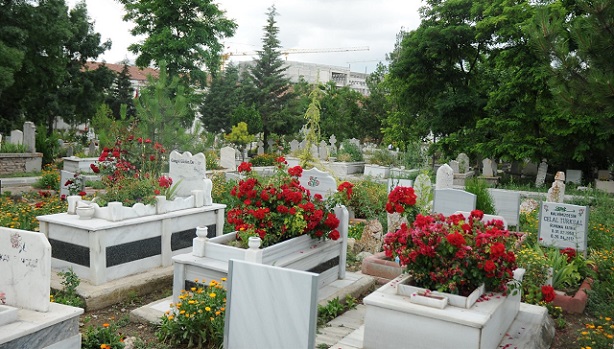 MEZARLIKLAR GÜLLERLE GÜZELLEŞTİ