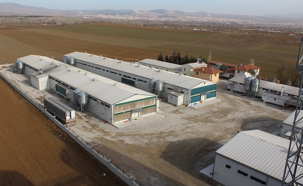 Onur Tavukçuluk Çorum (9)