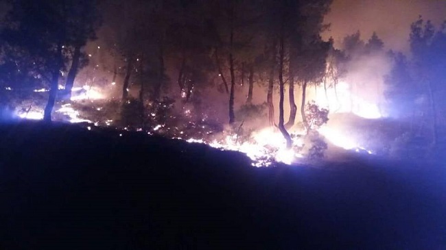 ÇORUM’DAKİ ORMAN YANGINI KORKUTTU