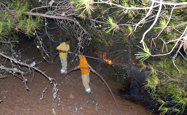 ÇORUM’DAKİ ORMAN YANGINI DEVAM EDİYOR