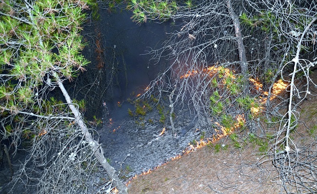 KONTROL ALTINA ALINAN YANGINDA 55 HEKTARLIK ALANDA DİKİLİ OLAN KIZIL ÇAM AĞAÇLARI ZARAR GÖRDÜ. (İSMAİL KABAKDERE - TURAN OZAN ACAR/ÇORUM-İHA)