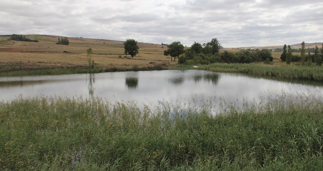 HİTİTLER TARAFINDAN YAKLAŞIK 4 BİN YIL ÖNCE İNŞAA EDİLDİĞİ TAHMİN EDİLEN ANADOLU'NUN EN ESKİ BARAJI OLARAK DEĞERLENDİRİLEN HİTİT BARAJI, DÜNYA TURİZMİNE KAZANDIRILIYOR. (M. MUTTALİP YALÇIN/ÇORUM-İHA)