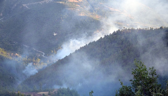 ÇIKAN YANGINDA YAKLAŞIK 200 HEKTAR ORMANILIK ALAN ZARAR GÖRDÜ (İHA/ÇORUM-İHA)