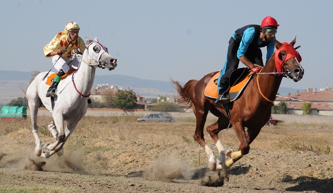 at yarışı (1)