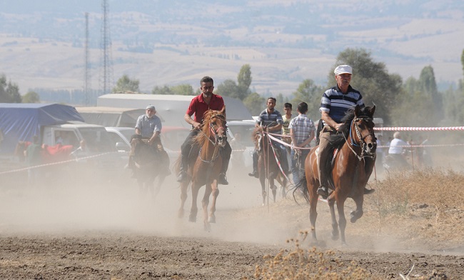 at yarışı (3)