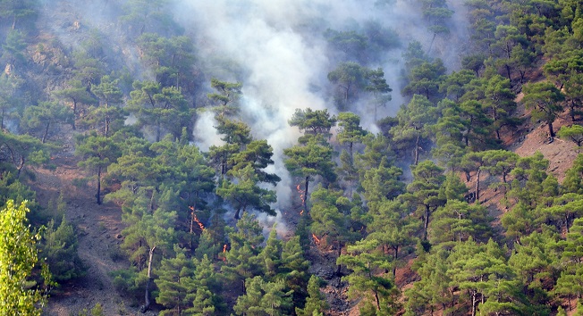 ÇORUM'UN OSMANCIK İLÇESİNE BAĞLI YUKARIZEYTİN KÖYÜNDE 3 GÜN ÖNCE BAŞLAYAN VE İKİ GÜN DEVAM ETTİKTEN SONRA KONTROL ALTINA ALINAN, ANCAK RÜZGARIN ETKİSİYLE YENİDEN BÜYÜYEN ORMAN YANGININDA, YAKLAŞIK 200 HEKTARLIK ALAN YANDI. YANGIN, BUGÜN SABAHA KARŞI KONTROL ALTINA ALINDI. (İSMAİL KABAKDERE/ÇORUM-İHA)