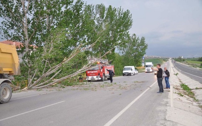 SIDDETLI FIRTINA NEDENIYLE MALKARA - KESAN KARAYOLU DEVRILEN AGAC NEDENIYLE BIR SAAT ULASIMA KAPANDI. FOTO: MURAT YAYIN/ MALKARA, (DHA)