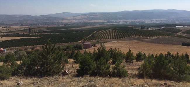 14463293_10209359100688162_8124955531289876335_n