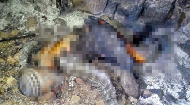 ÇORUM’DA YAŞLI ADAM YANARAK CAN VERDİ