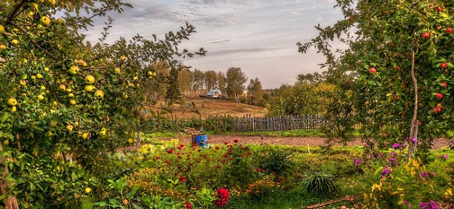 BU PROJE İLE DODURGA’NIN YÜZÜ GÜLECEK