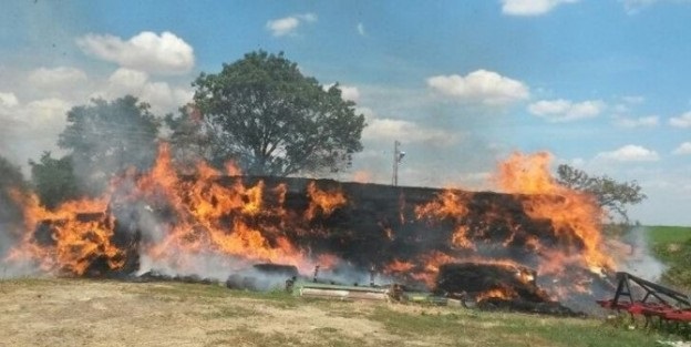 AHIR VE SAMAN BALYALARI KÜL OLDU