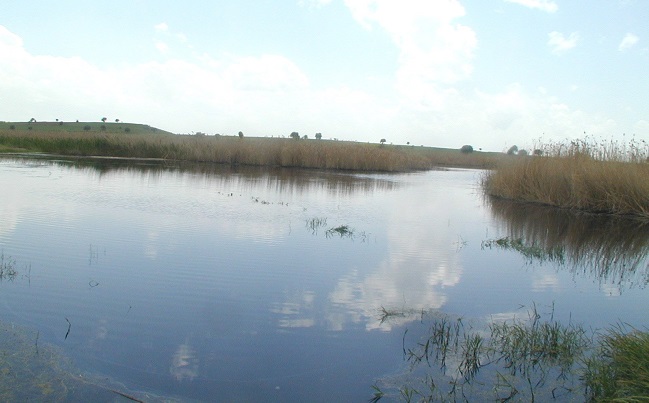 ÇORUM'DA BULUNAN VE BİR ÇOK KUŞA EV SAHİPLİĞİ YAPAN GÖLÜNYAZI GÖLETİ REHABİLİTE EDİLECEK (M. MUTTALİP YALÇIN/ÇORUM-İHA)