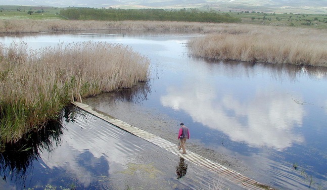 ÇORUM’UN KUŞ CENNETİ YENİLENECEK