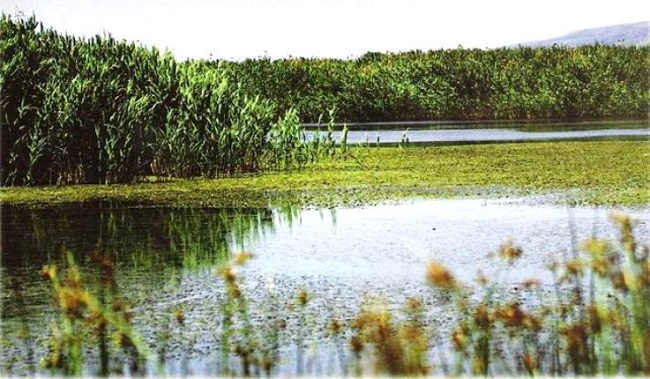 gölünyazı çorum (2)