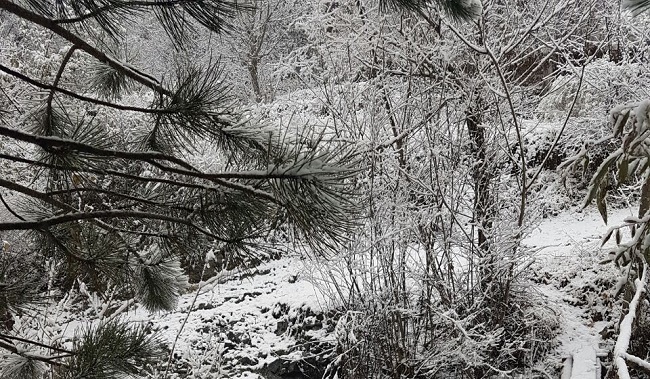 ÇORUM'A YILIN İLK KARI YAĞDI (İHA/ÇORUM-İHA)