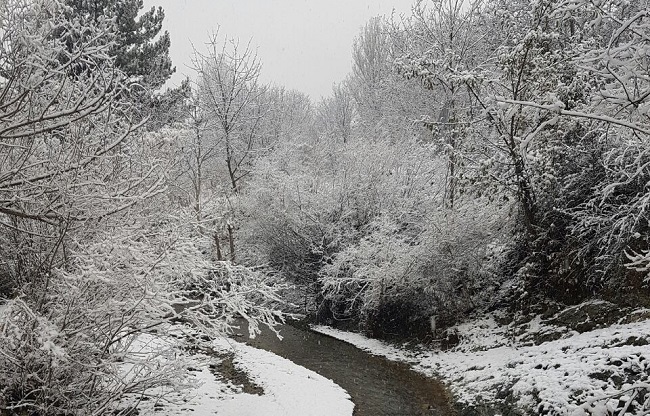 ÇORUM'A YILIN İLK KARI YAĞDI (İHA/ÇORUM-İHA)