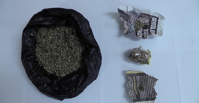 YOLCU KOLTUĞUNDA BONZAİ YAKALANDI