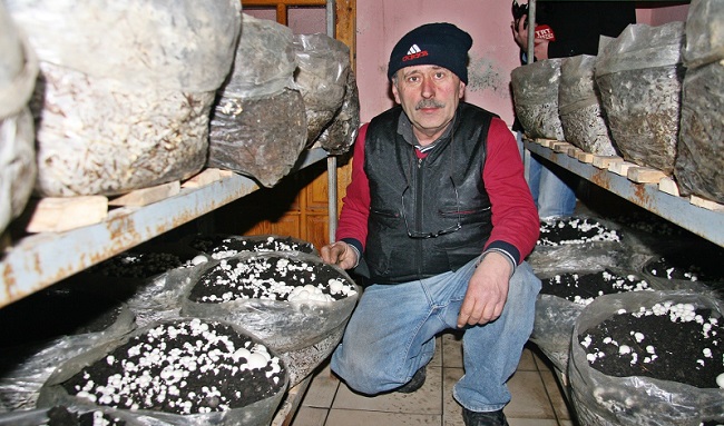 GİRİŞİMCİ MUHTAR BOŞ DURMUYOR