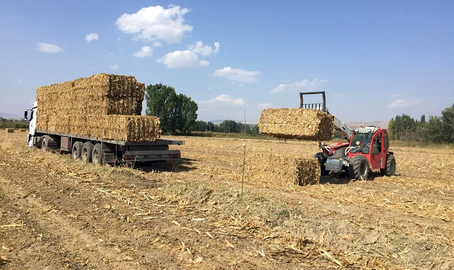 ÇORUM’A 10 MİLYON DOLARLIK YATIRIM