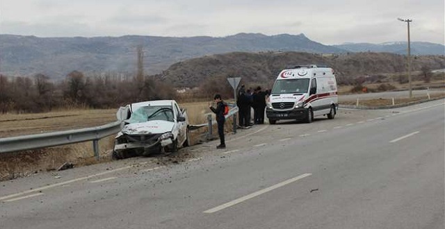 KÖPEK KAZAYA NEDEN OLDU