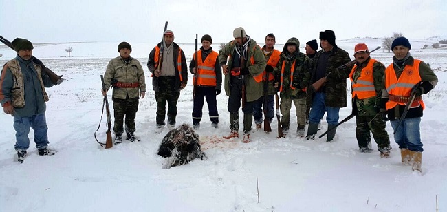 ÇORUM’DA AVCILAR DOMUZ VURDU