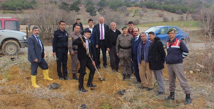ORTAKÖY DAHA YEŞİL OLACAK