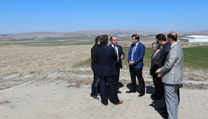 HAYVANCILIK BÖLGESİ İNCELENDİ (SERKAN ŞANSEVER/ÇORUM-İHA)