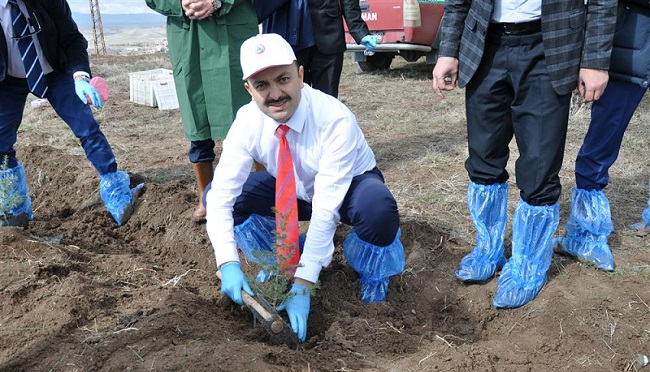 SAĞLIK ÇALIŞANLARI FİDAN DİKTİ