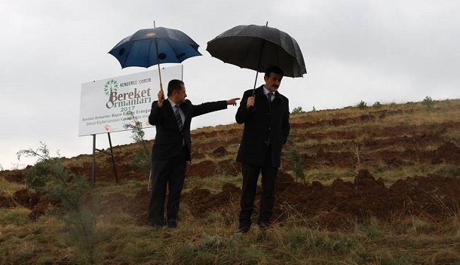 KAYMAKAM BEREKET ORMANINI İNCELEDİ