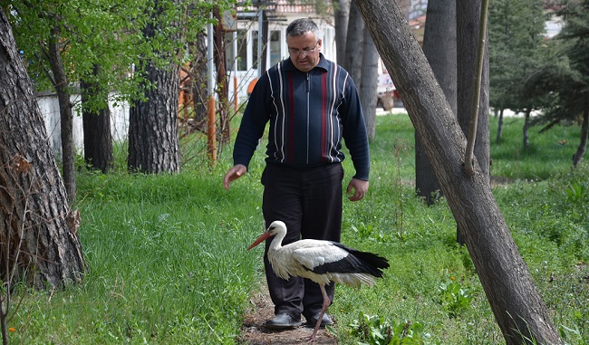 ÇORUM’UN OSMANCIK İLÇESİNDE KARAYOLLARI EKİPLERİ, YOL ÇALIŞMALARI SIRASINDA BULDUKLARI YARALI LEYLEĞE SAHİP ÇIKTI. (İSMAİL KABAKDERE/ÇORUM-İHA)