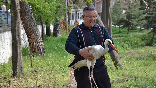 ÇORUM’UN OSMANCIK İLÇESİNDE KARAYOLLARI EKİPLERİ, YOL ÇALIŞMALARI SIRASINDA BULDUKLARI YARALI LEYLEĞE SAHİP ÇIKTI. (İSMAİL KABAKDERE/ÇORUM-İHA)