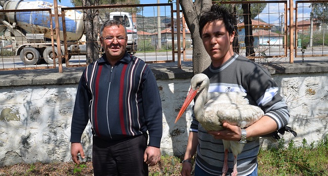 İŞÇİLER YARALI LEYLEĞİ HAYATA DÖNDÜRDÜ