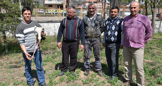 ÇORUM’UN OSMANCIK İLÇESİNDE KARAYOLLARI EKİPLERİ, YOL ÇALIŞMALARI SIRASINDA BULDUKLARI YARALI LEYLEĞE SAHİP ÇIKTI. (İSMAİL KABAKDERE/ÇORUM-İHA)