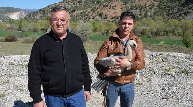 YARALI LEYLEKLERİ İYİLEŞTİRDİLER