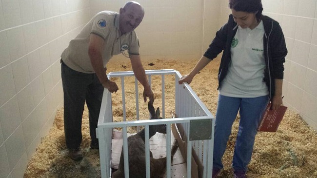 18447194_10155405387629235_5144013787642341609_n