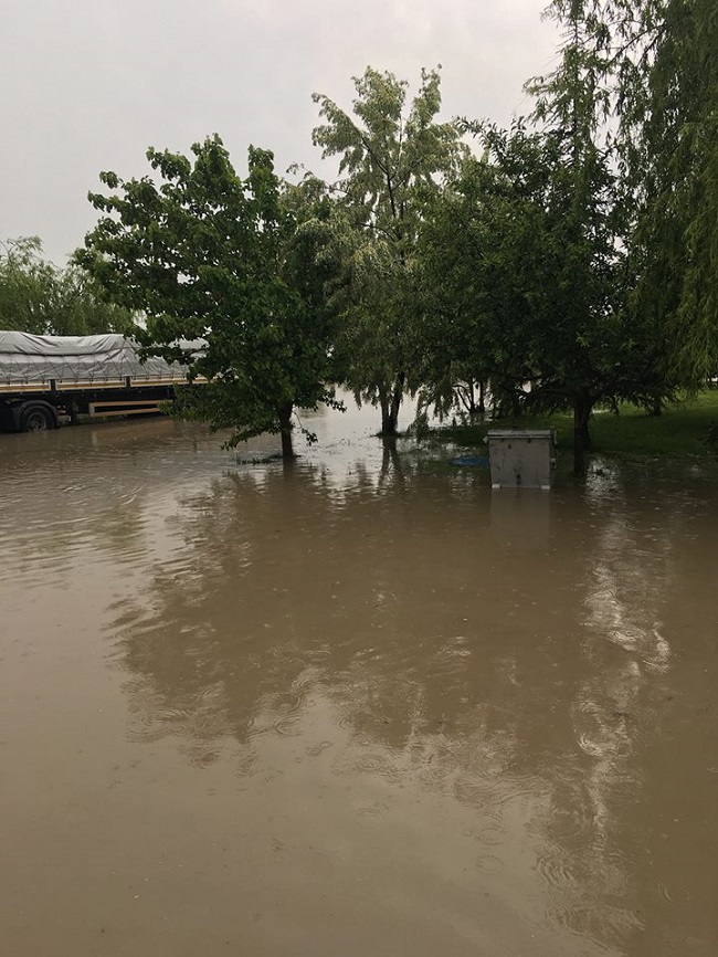 18670810_1776840505665456_6367294677461591880_n