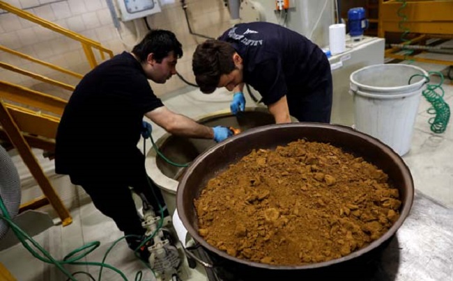 ÇORUM’DA 1 KAZAN DOLUSU ALTIN