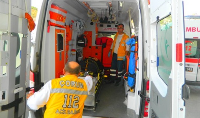 MEYVE AĞAÇLARI HASTANELİK ETTİ