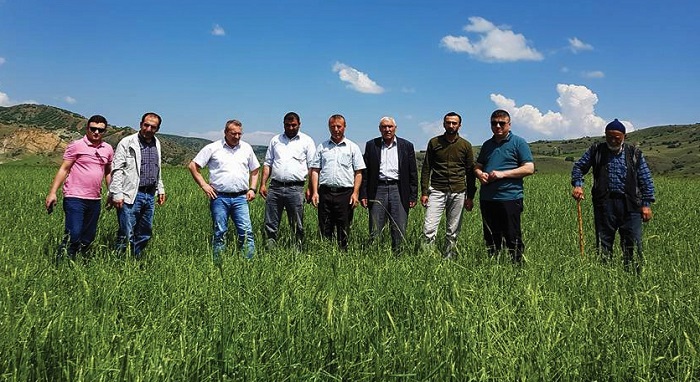 İNCELEMELERDE BULUNDULAR (SERKAN ŞANSEVER/ÇORUM-İHA)