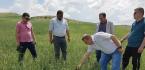 TARIM ARAZİLERİNİ DOLU VURDU