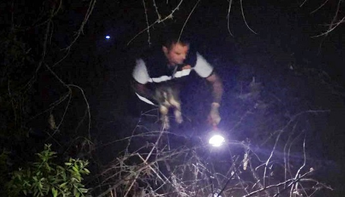 İTFAİYE YAVRU KÖPEĞİ KURTARDI