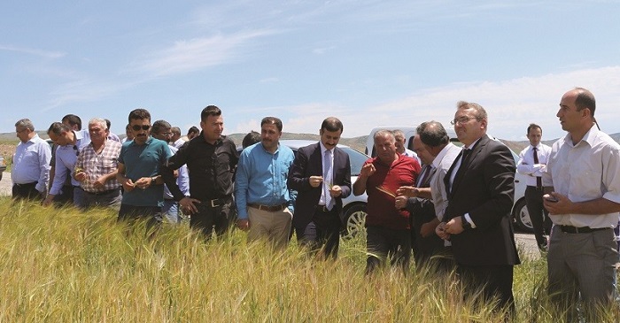 SUNGURLU’DA TARLA GÜNÜ DÜZENLENDİ