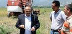 ÇELTİK TARLASINA ARPA EKTİLER