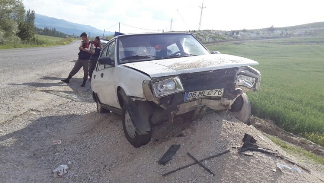 ŞAŞKIN SÜRÜCÜ KUMA ÇARPTI