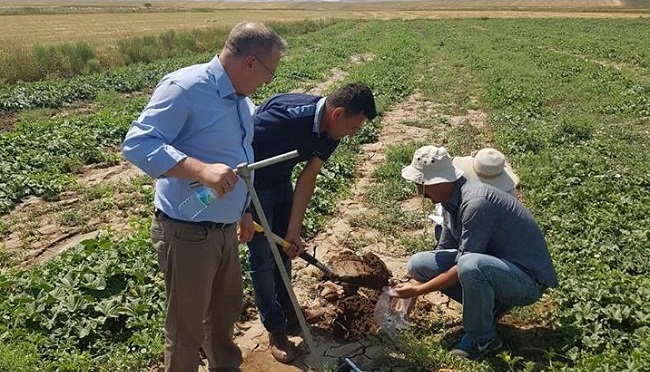 TARIMSAL SULAMA İÇİN ARAŞTIRILACAK