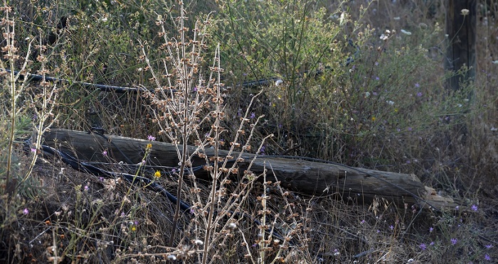 ÇORUM’UN OSMANCIK İLÇESİNE BAĞLI ÇAMPINAR KÖYÜNDE ÇÜRÜYEN TELEFON DİREKLERİNİN YIKILMASI SONUCU KOPAN HATLAR NEDENİYLE EV TELEFONLARI VE İNTERNETİN KESİLMESİNE SEBEP OLDU. (İSMAİL KABAKDERE/ÇORUM-İHA)