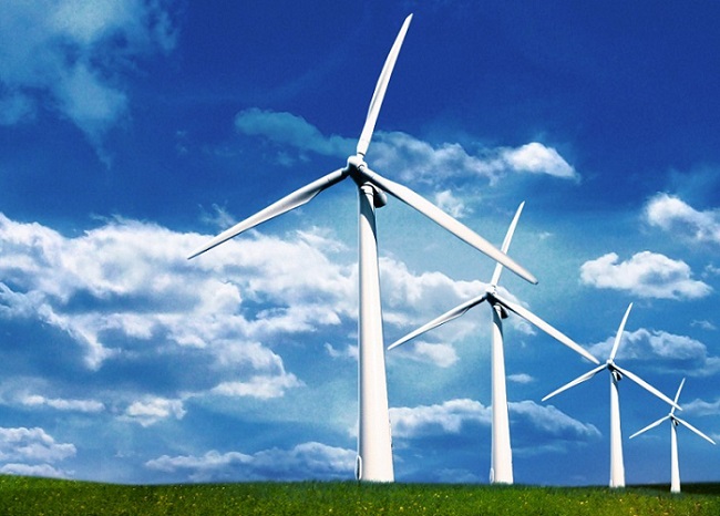 RÜZGAR GÜLÜ PROJESİ BAŞARILI OLDU